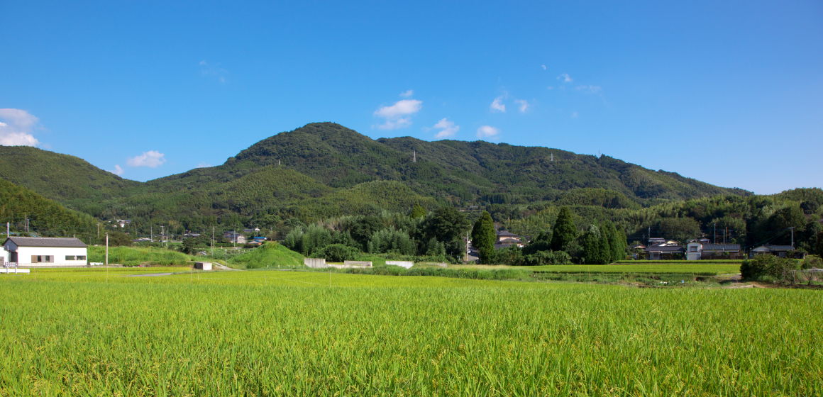 田んぼの向こうに山と青空が見えている様子